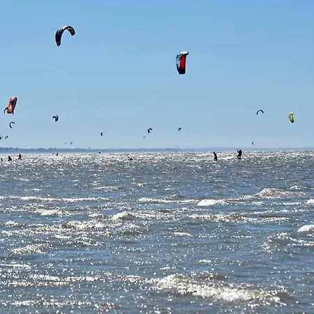 Le Pommier Normand